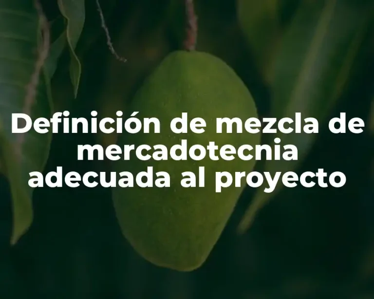 Definición de mezcla de mercadotecnia adecuada al proyecto