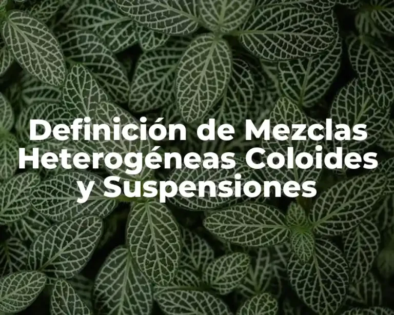 Definición de Mezclas Heterogéneas Coloides y Suspensiones