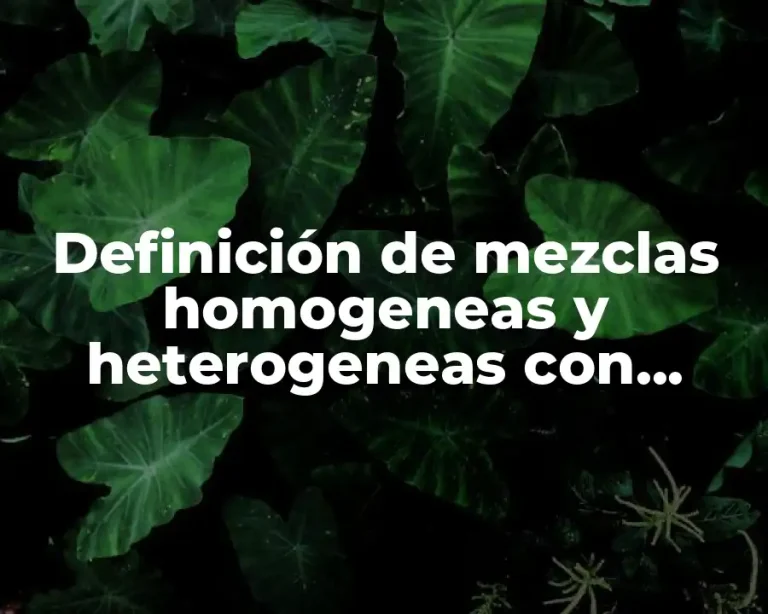 Definición de mezclas homogeneas y heterogeneas con dibujos