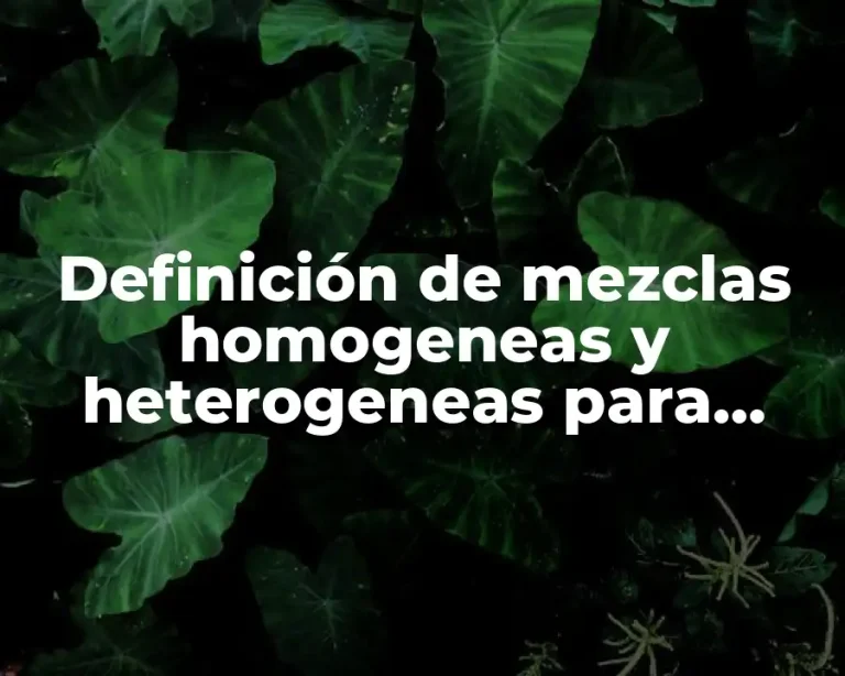 Definición de mezclas homogeneas y heterogeneas para niños