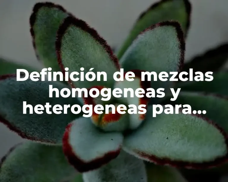 Definición de mezclas homogeneas y heterogeneas para niños de primaria