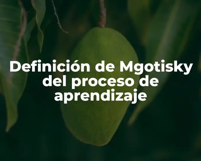 Definición de Mgotisky del proceso de aprendizaje