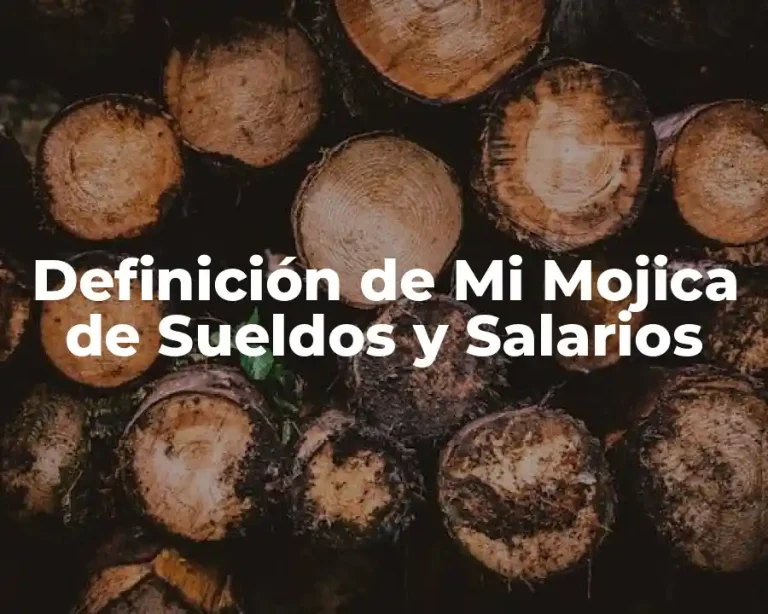 Definición de Mi Mojica de Sueldos y Salarios