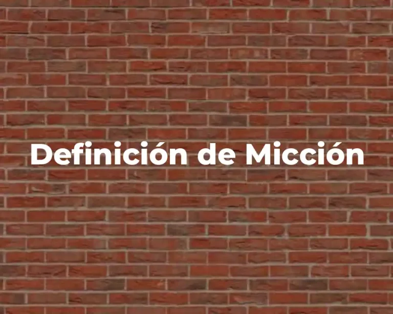 Definición de Micción
