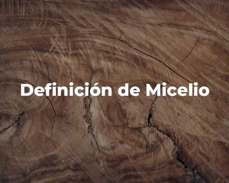 Definición de Micelio
