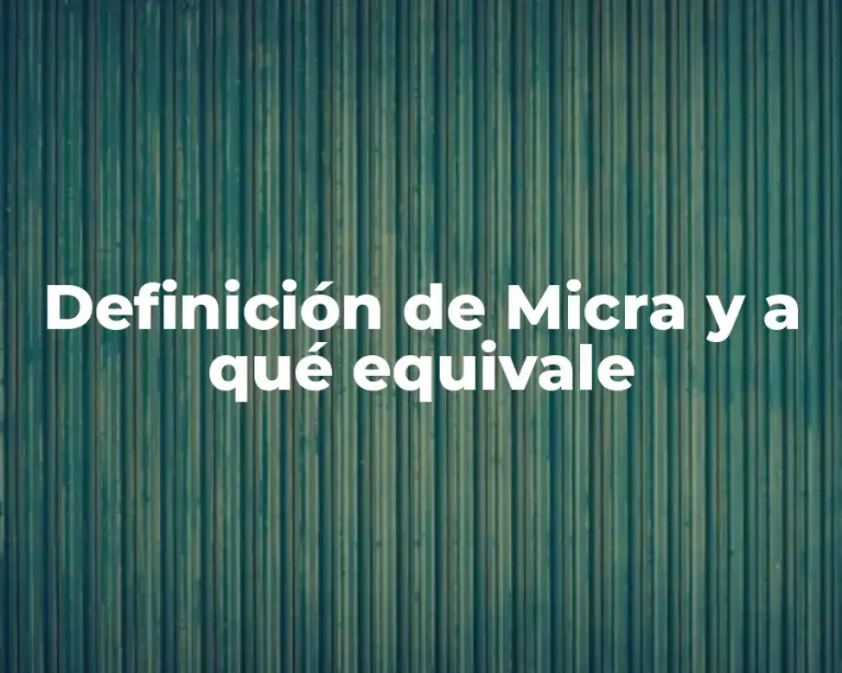 Definición de Micra y a qué equivale