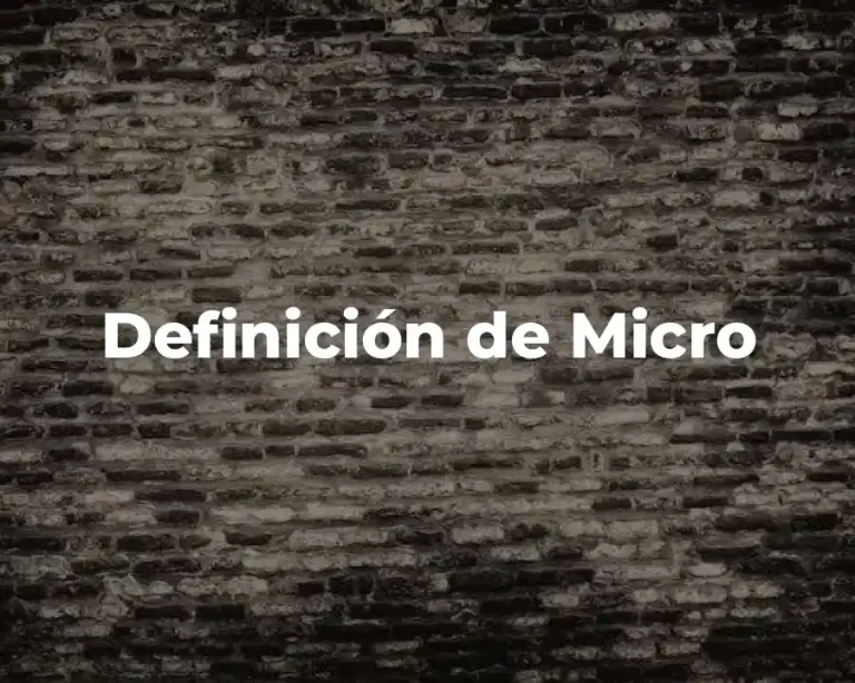 Definición de Micro