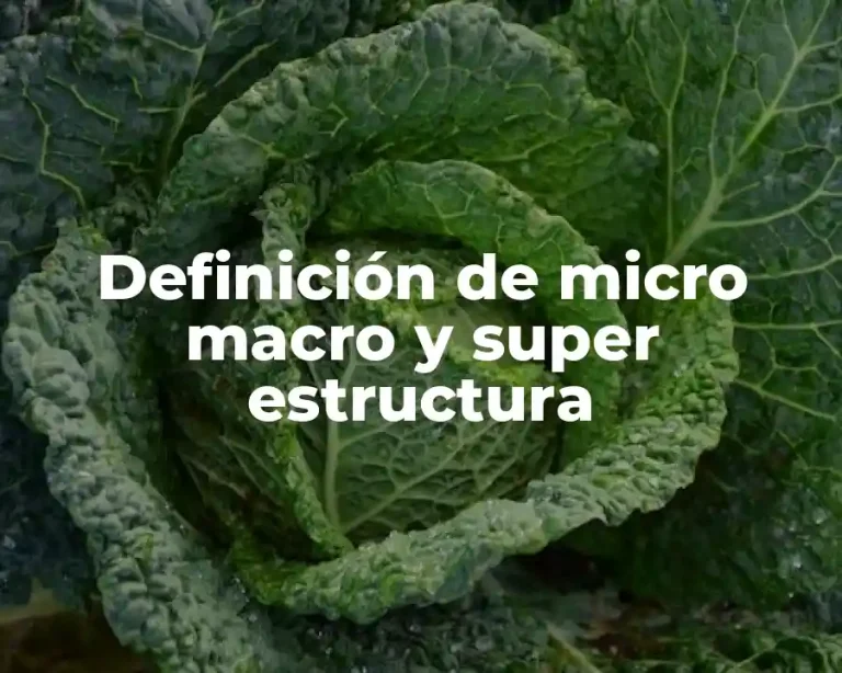 Definición de micro macro y super estructura