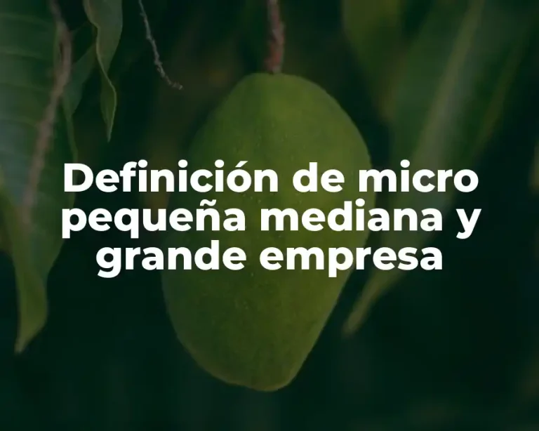 Definición de micro pequeña mediana y grande empresa