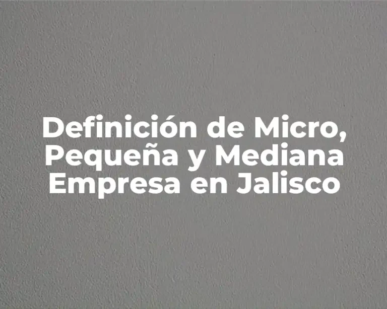 Definición de Micro, Pequeña y Mediana Empresa en Jalisco