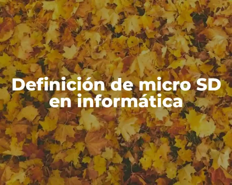 Definición de micro SD en informática