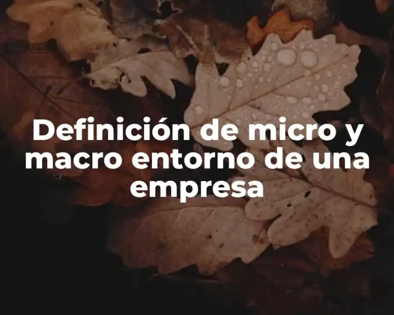 Definición de micro y macro entorno de una empresa