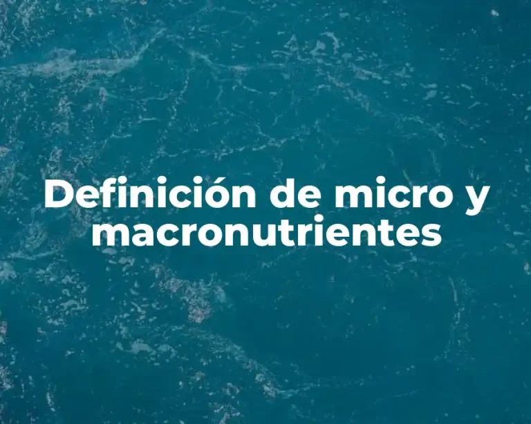 Definición de micro y macronutrientes