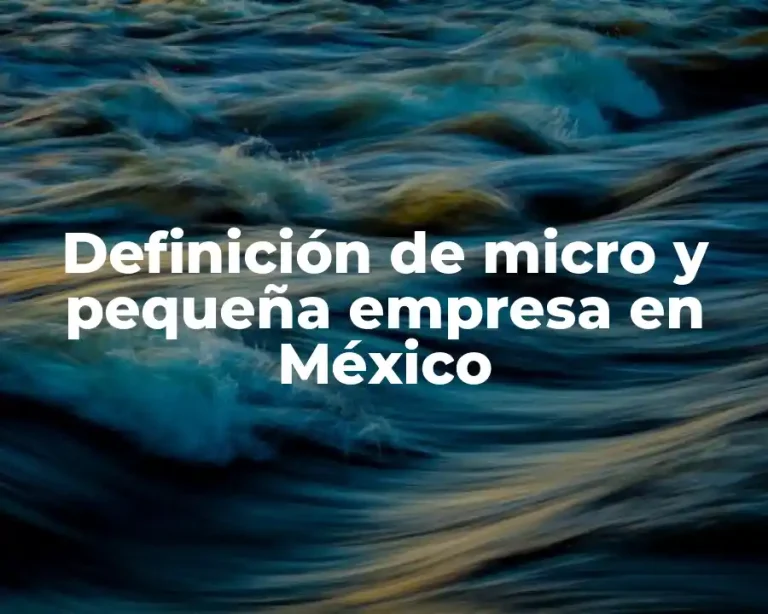 Definición de micro y pequeña empresa en México