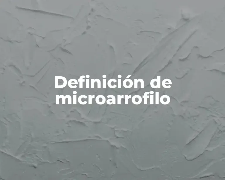 Definición de microarrofilo