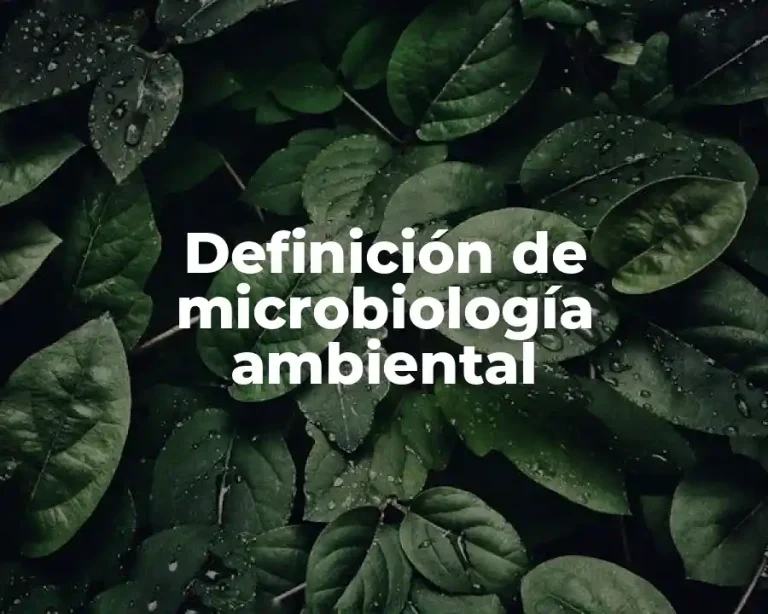 Definición de microbiología ambiental