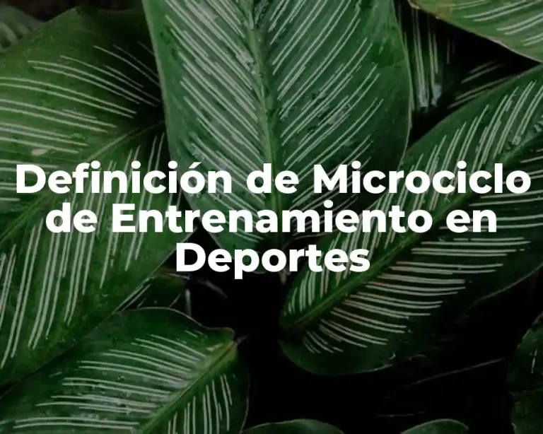 Definición de Microciclo de Entrenamiento en Deportes