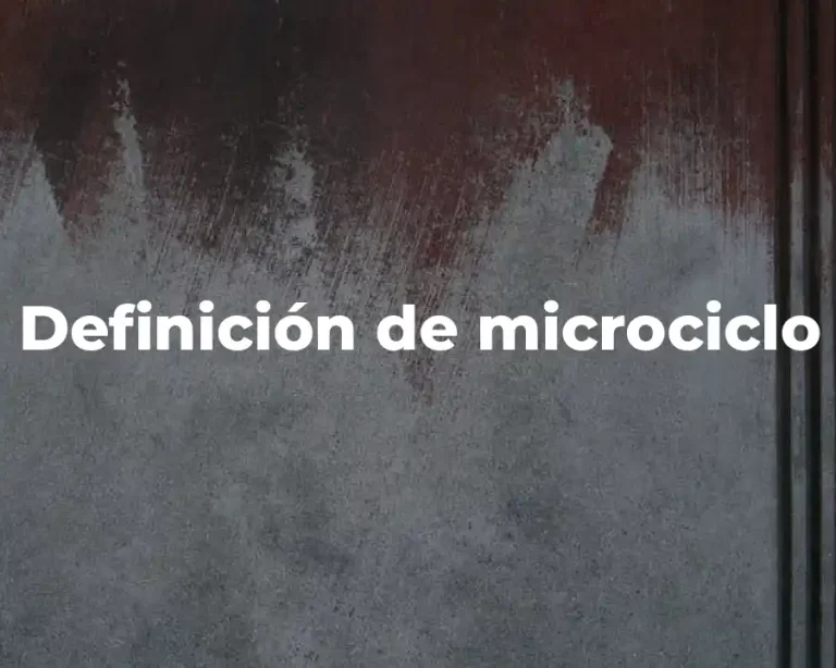 Definición de microciclo