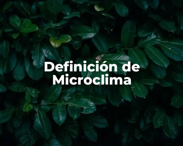 Definición de Microclima