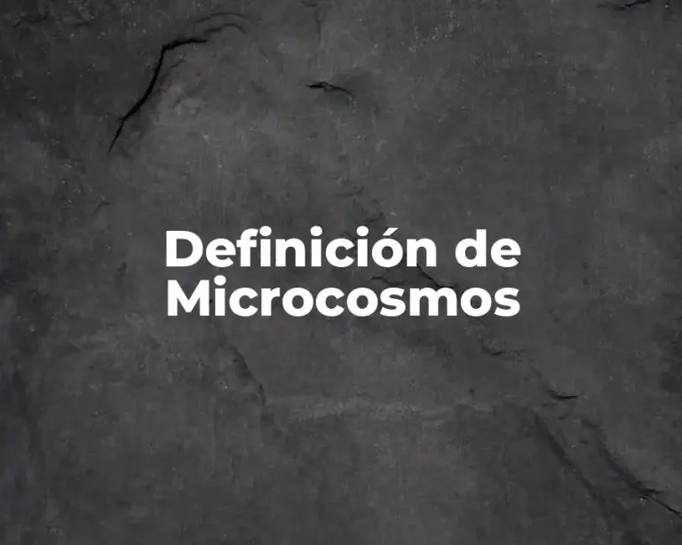 Definición de Microcosmos