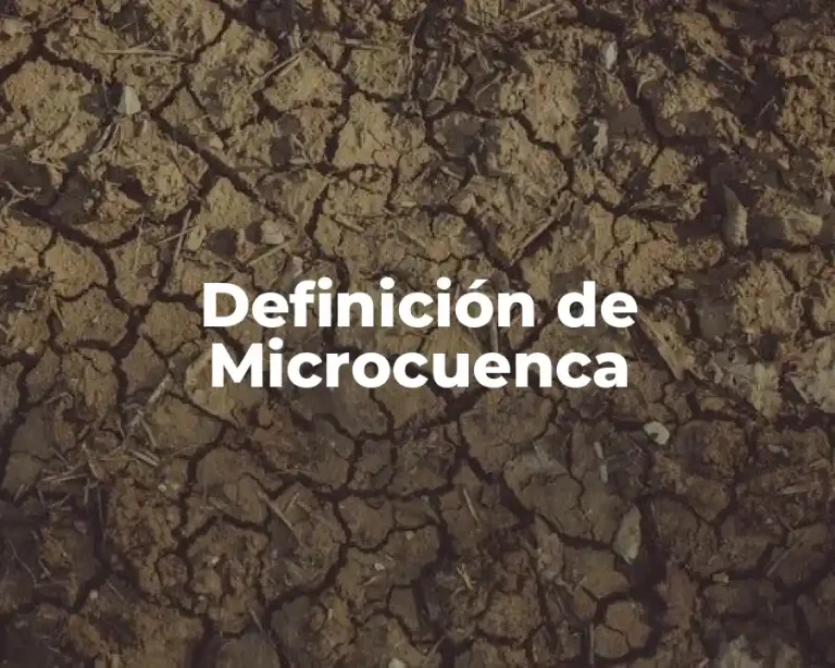 Definición de Microcuenca