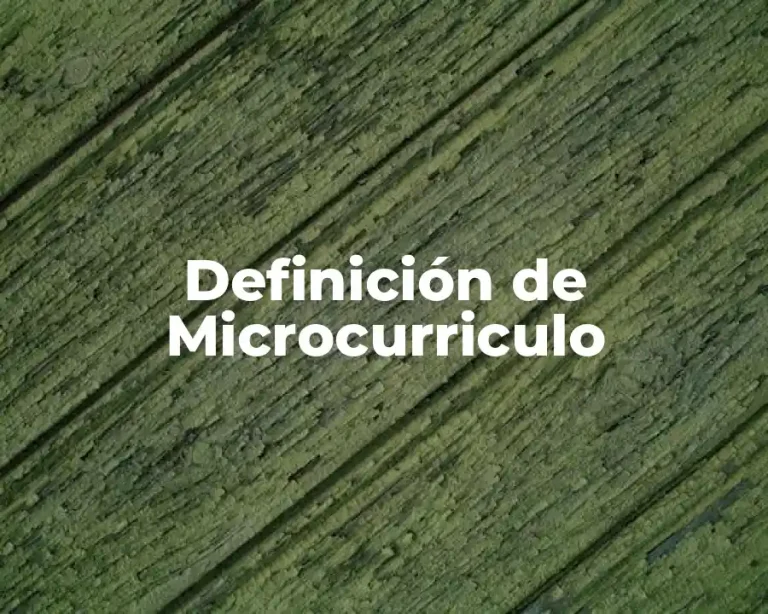Definición de Microcurriculo