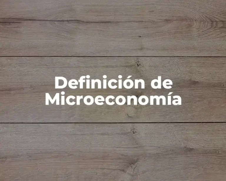 Definición de Microeconomía