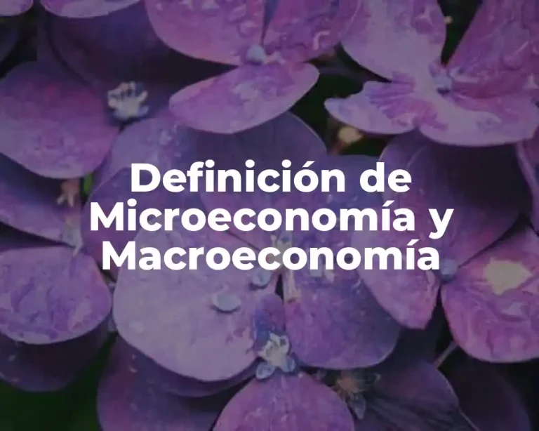 Definición de Microeconomía y Macroeconomía