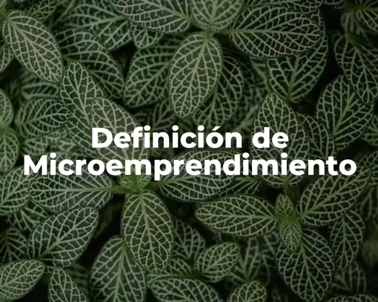 Definición de Microemprendimiento