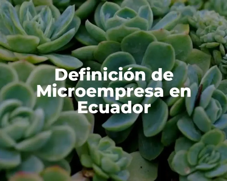 Definición de Microempresa en Ecuador