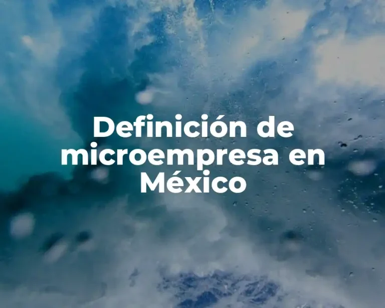 Definición de microempresa en México