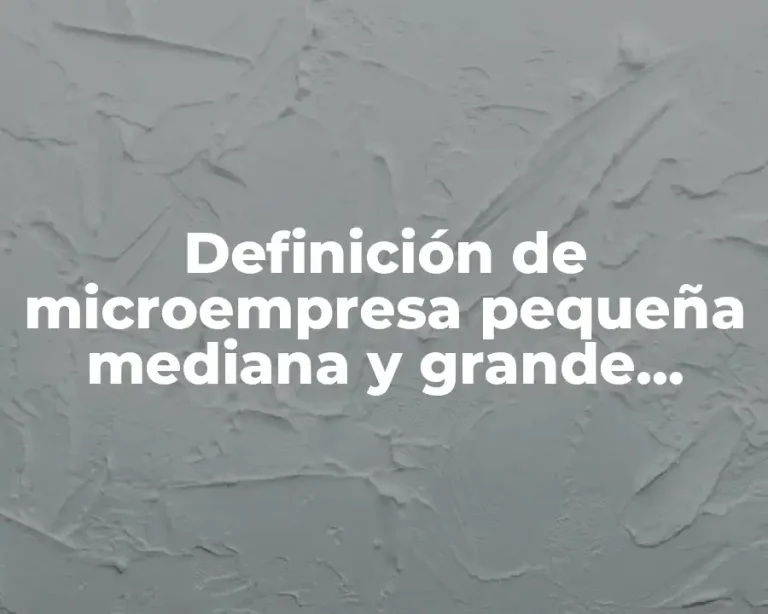 Definición de microempresa pequeña mediana y grande empresa