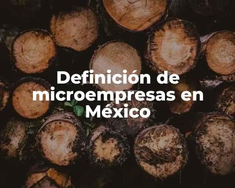 Definición de microempresas en México