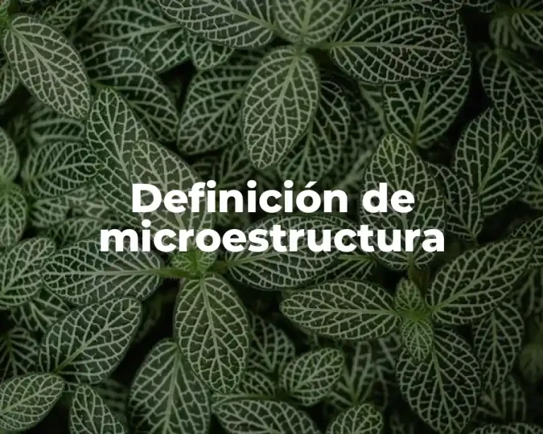 Definición de microestructura