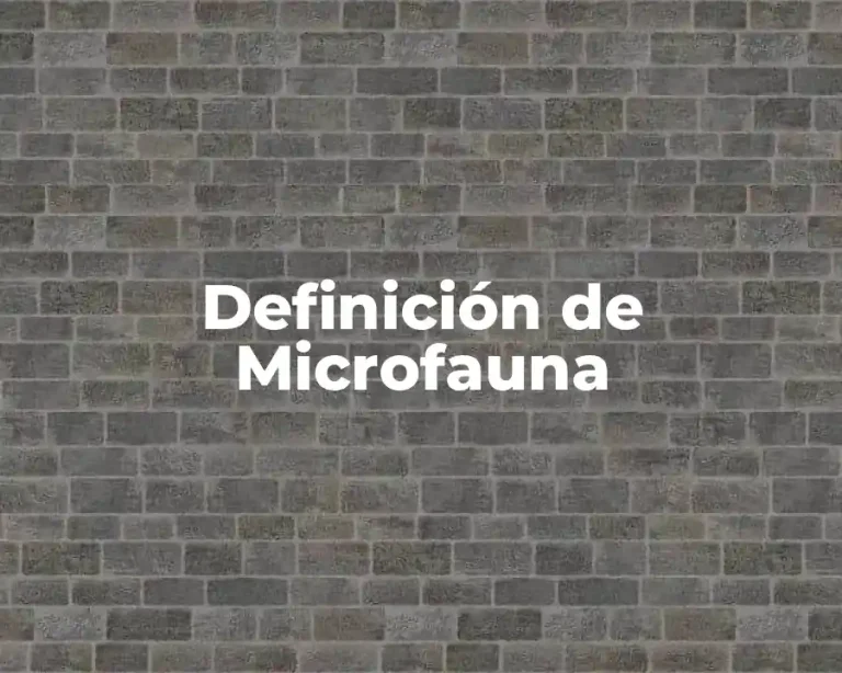 Definición de Microfauna