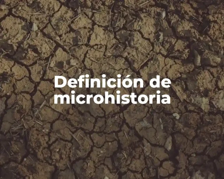 Definición de microhistoria