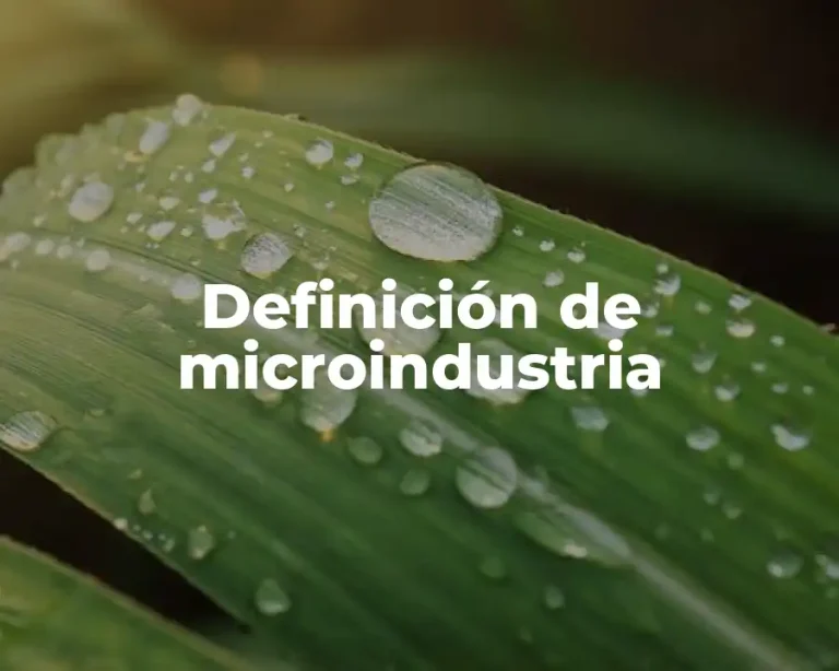 Definición de microindustria