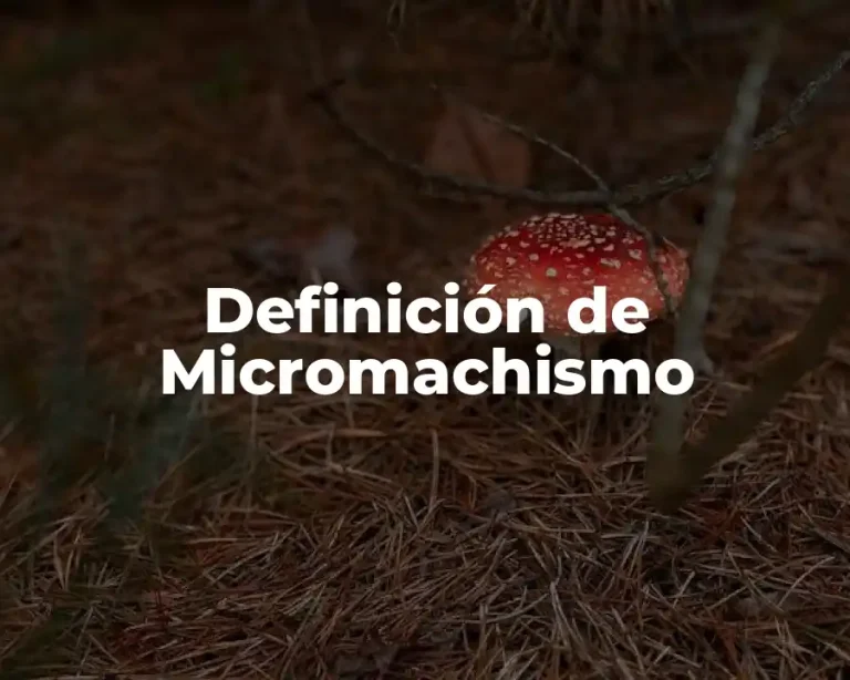 Definición de Micromachismo