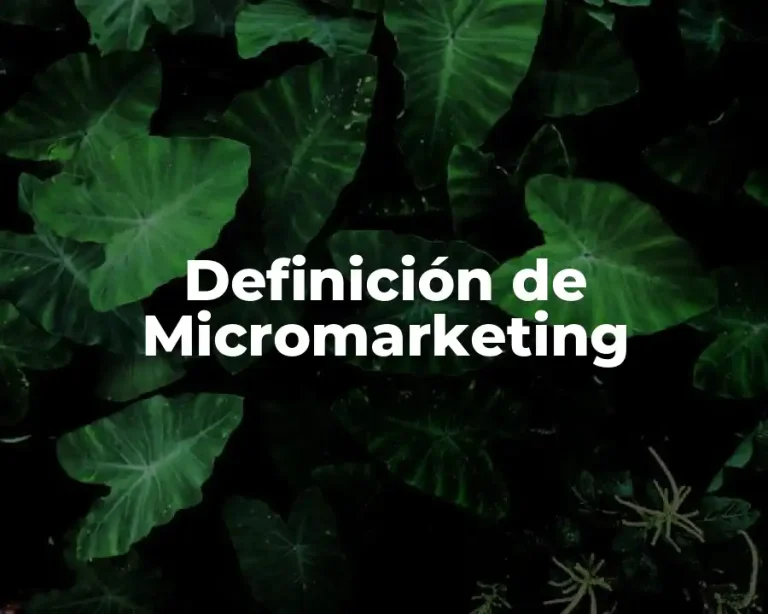 Definición de Micromarketing