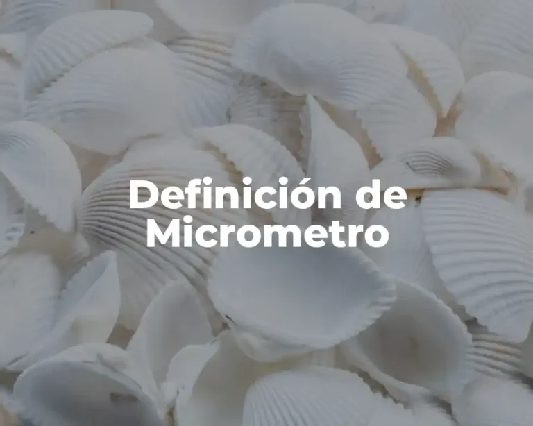 Definición de Micrometro