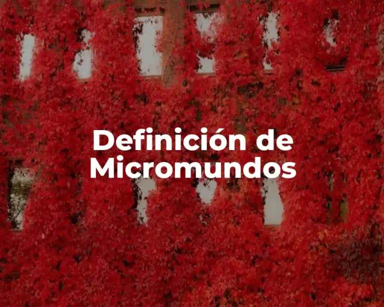 Definición de Micromundos