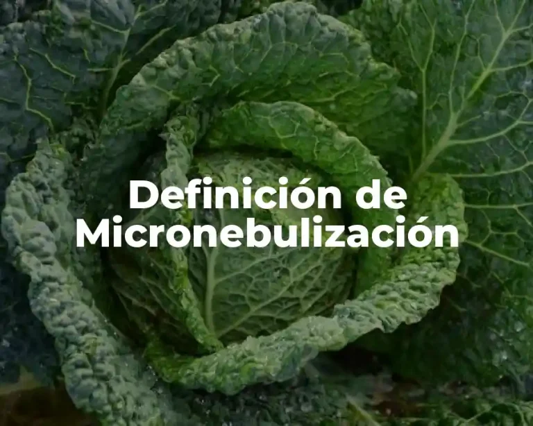Definición de Micronebulización