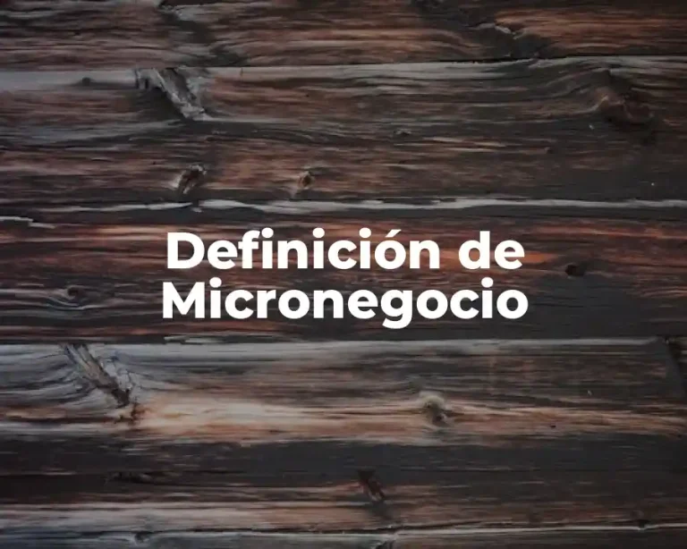 Definición de Micronegocio