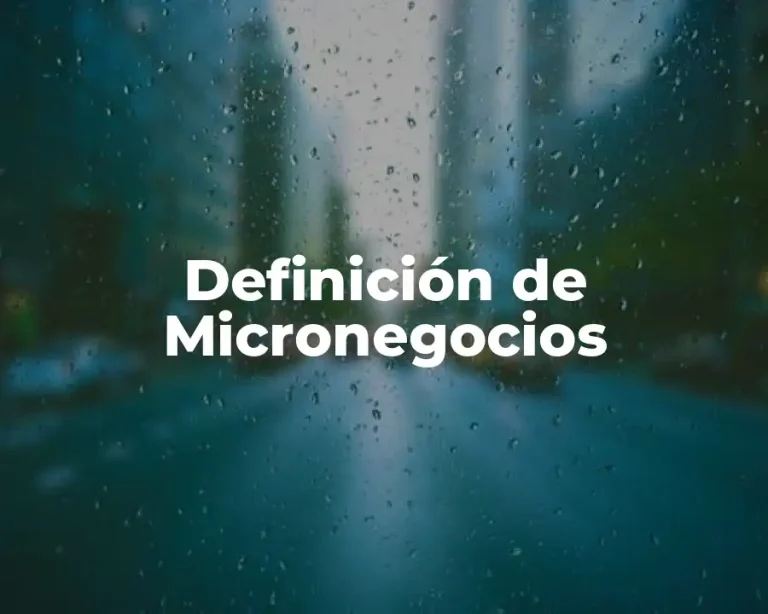 Definición de Micronegocios