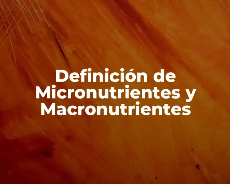 Definición de Micronutrientes y Macronutrientes