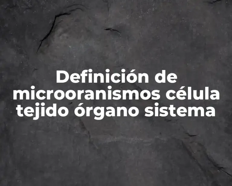 Definición de microoranismos célula tejido órgano sistema