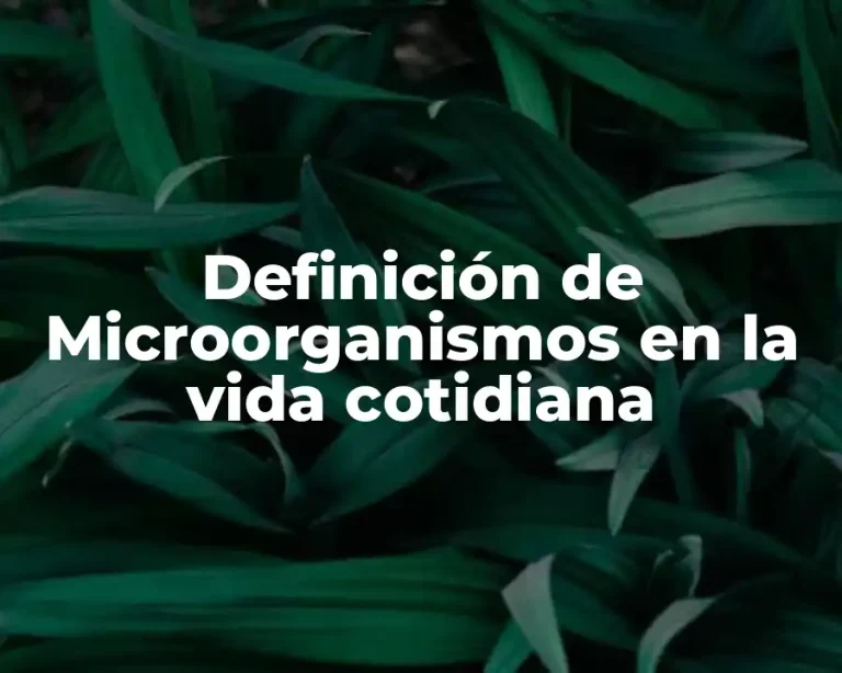 Definición de Microorganismos en la vida cotidiana