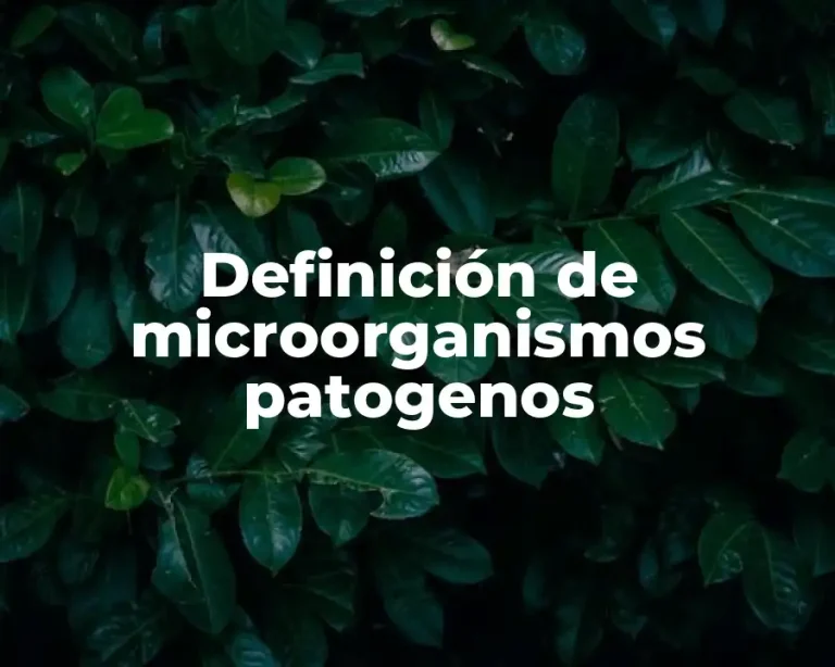 Definición de microorganismos patogenos