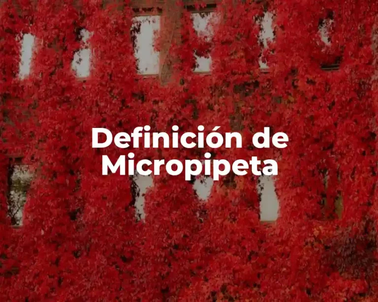 Definición de Micropipeta