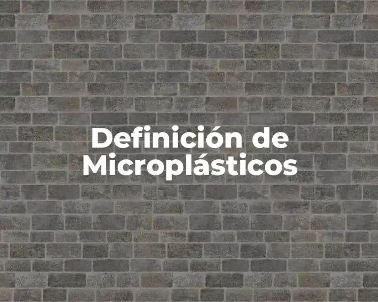 Definición de Microplásticos